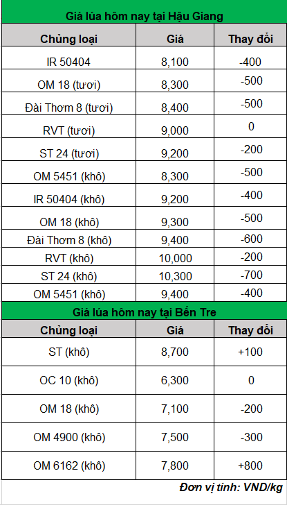 giá lúa hôm nay ngày 20-2-2024_1708399039.png